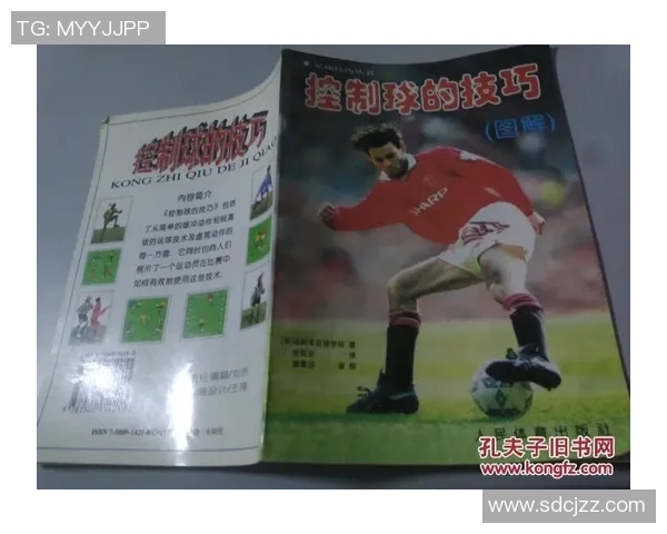 中国足球窝案深度解析与背后真相揭示的全景书籍